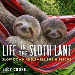 LIFE IN THE SLOTH LANE: SLOW DOWN AND SMELL THE HIBISCUS