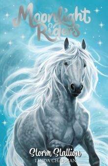 2. MOONLIGHT RIDERS: STORM STALLION