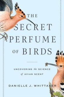 THE SECRET PERFUME OF BIRDS : UNCOVERING THE SCIENCE OF AVIAN SCENT