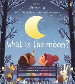 WHAT IS THE  MOON? LTF VERY FIRST Q&A