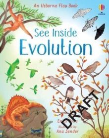 EVOLUTION SEE INSIDE