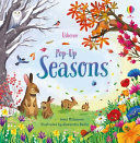 POP-UP BOOKS: POP-UP SEASONS