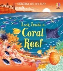 A CORAL REEF LOOK INSIDE