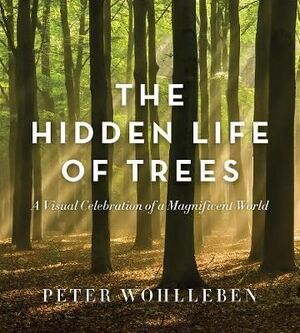 THE HIDDEN LIFE OF TREES : THE ILLUSTRATED EDITION