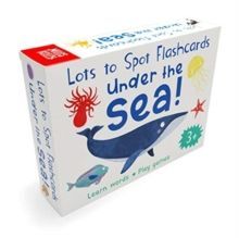 UNDER THE SEA!: LOTS TO SPOT FLASHCARDS