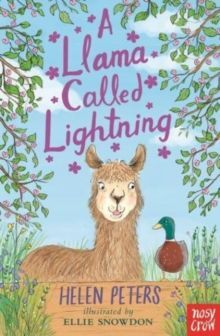 A LLAMA CALLED LIGHTNING