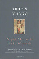 NIGHT SKY WITH EXIT WOUNDS