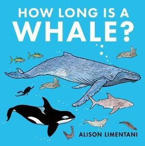 HOW LONG IS A WHALE?