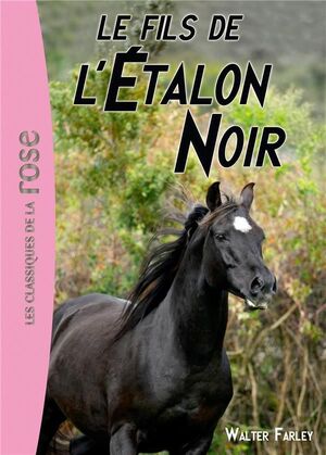 LES FILS  DE L'ETALON