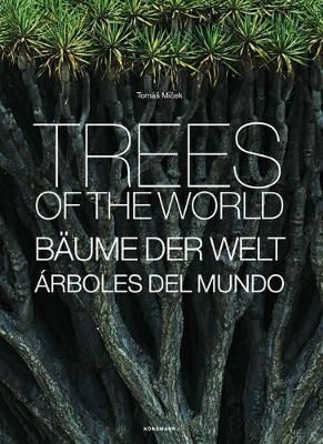 TREES OF THE WORLD
