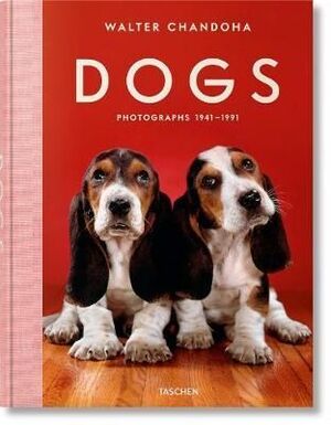 DOGS PHOTOGRAPH
